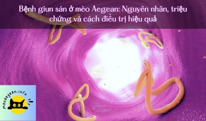 Bệnh giun sán ở mèo Aegean: Nguyên nhân, triệu chứng và cách điều trị hiệu quả