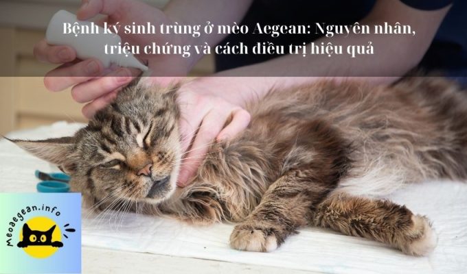 Bệnh ký sinh trùng ở mèo Aegean: Nguyên nhân, triệu chứng và cách điều trị hiệu quả