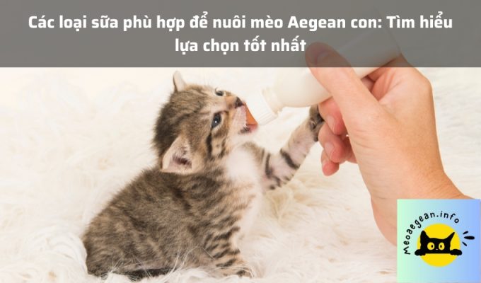 Các loại sữa phù hợp để nuôi mèo Aegean con: Tìm hiểu lựa chọn tốt nhất