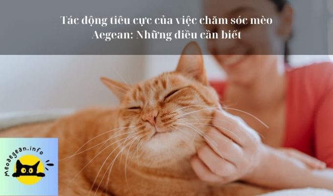 Tác động tiêu cực của việc chăm sóc mèo Aegean: Những điều cần biết