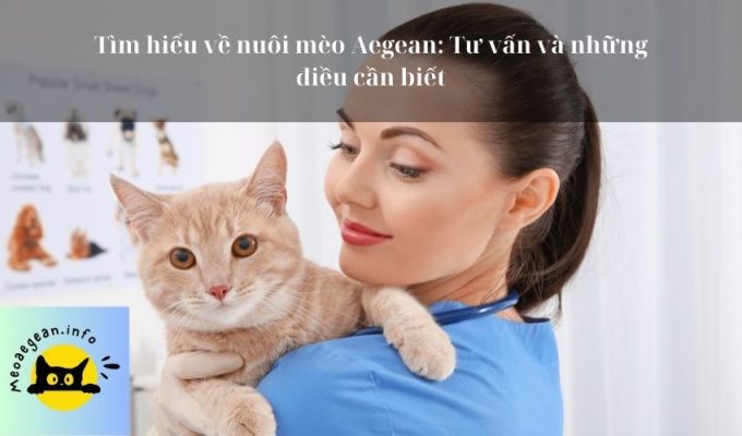 Tìm hiểu về nuôi mèo Aegean: Tư vấn và những điều cần biết